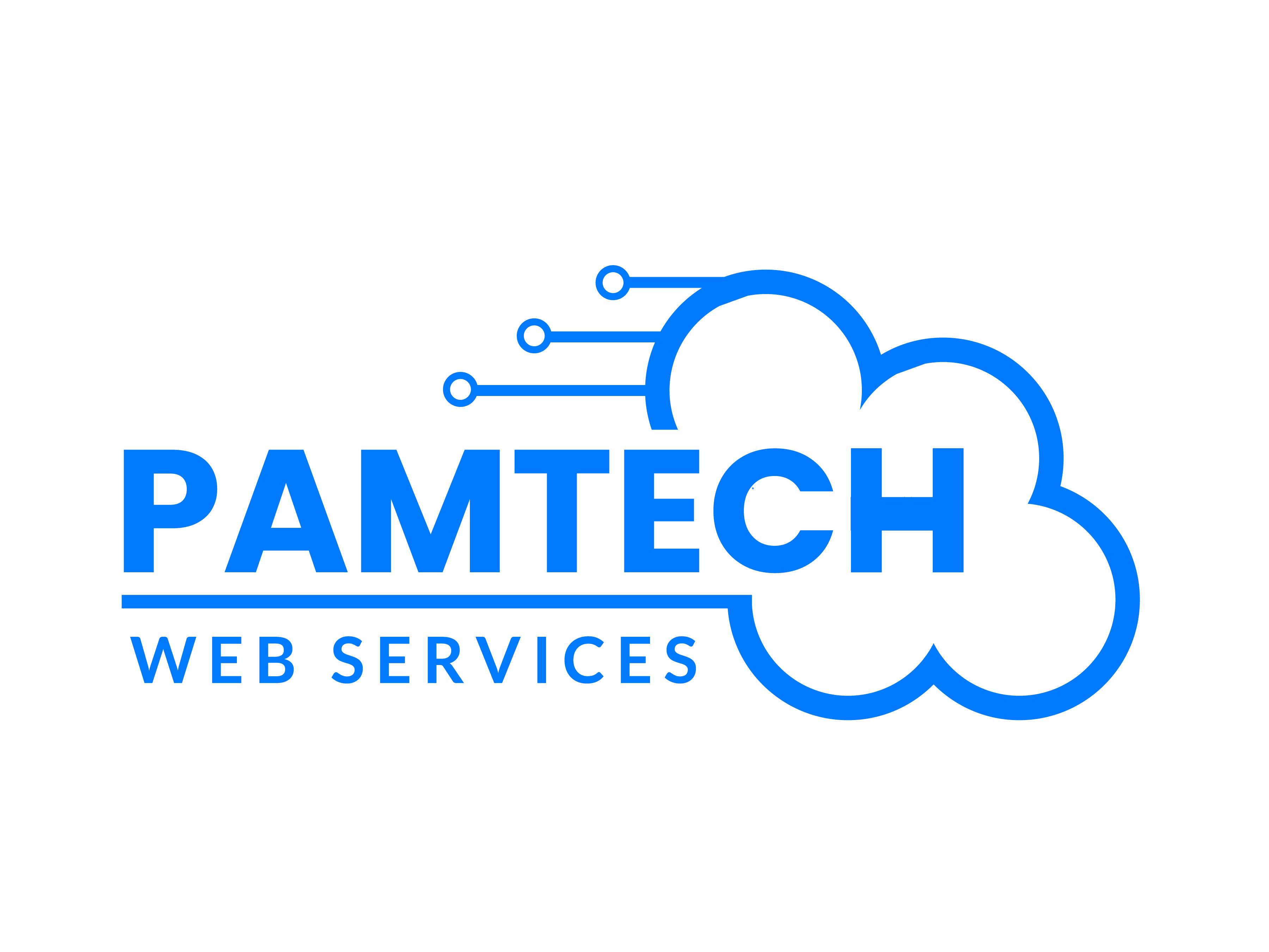 PAMTECH WEB SERVICES LTD